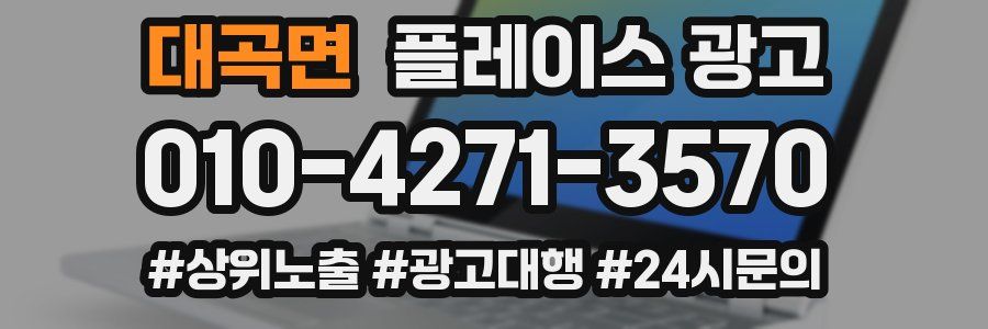 대곡면 플레이스 광고