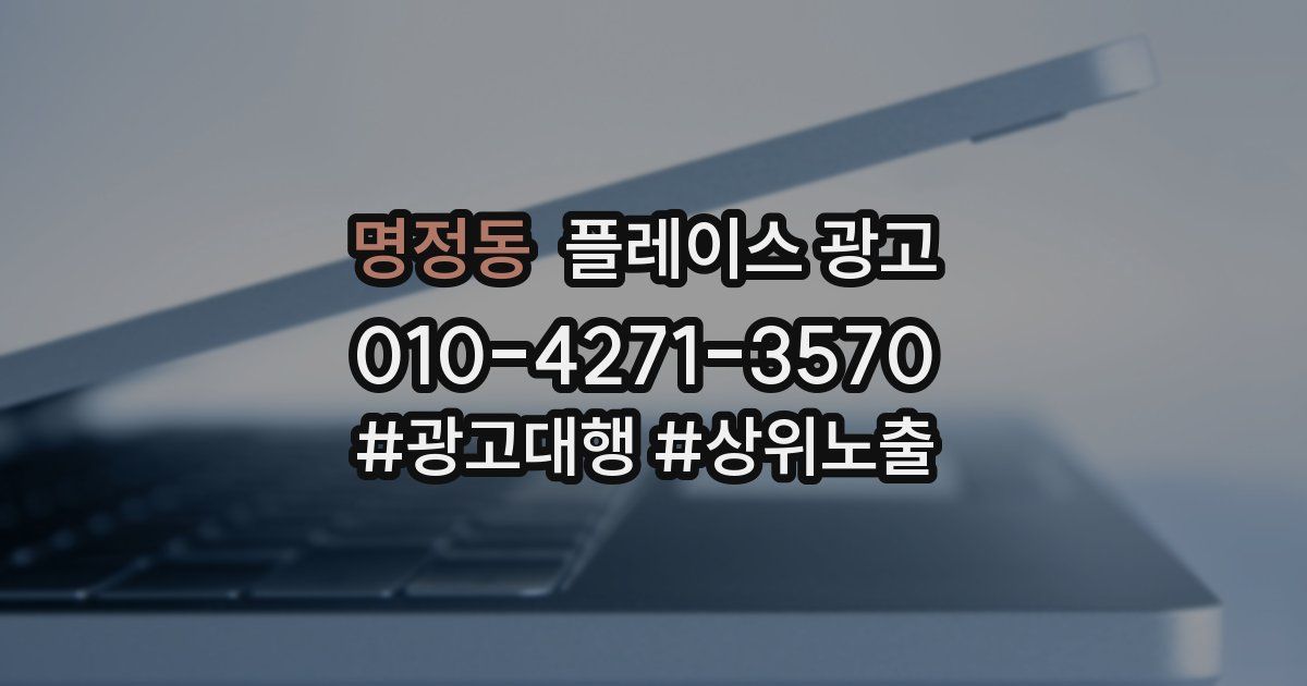 명정동 플레이스 광고