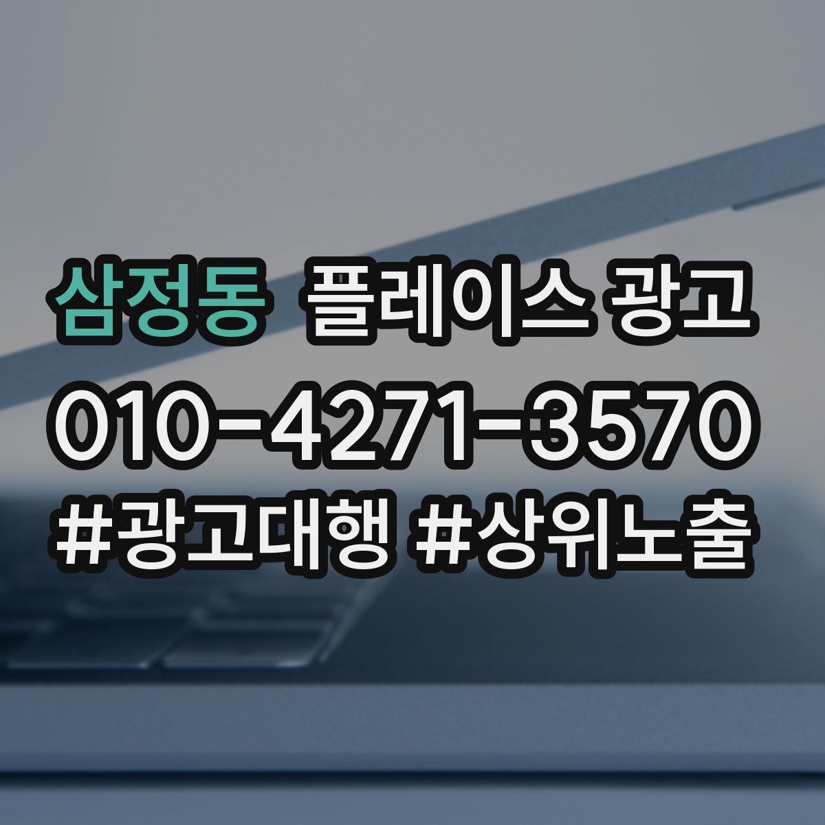 삼정동 플레이스 광고