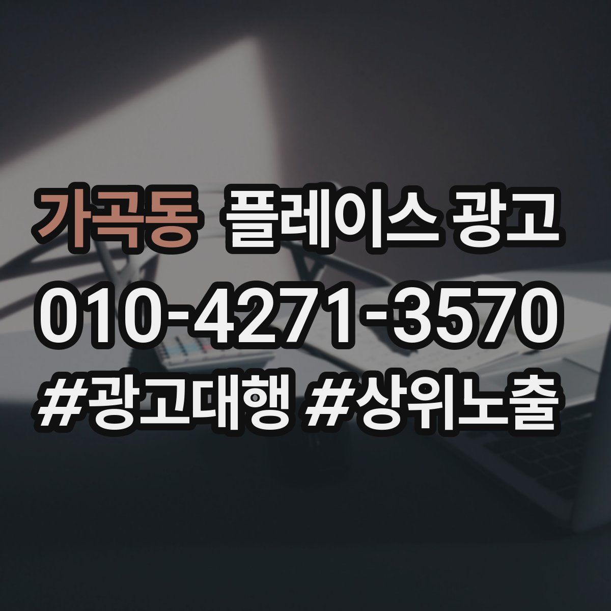 가곡동 플레이스 광고