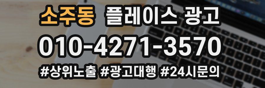 소주동 플레이스 광고