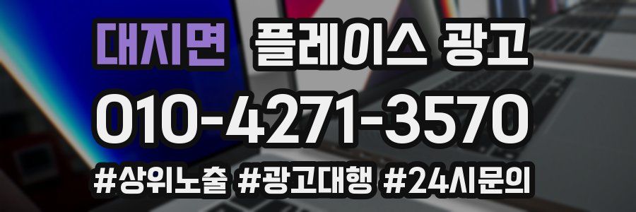 대지면 플레이스 광고