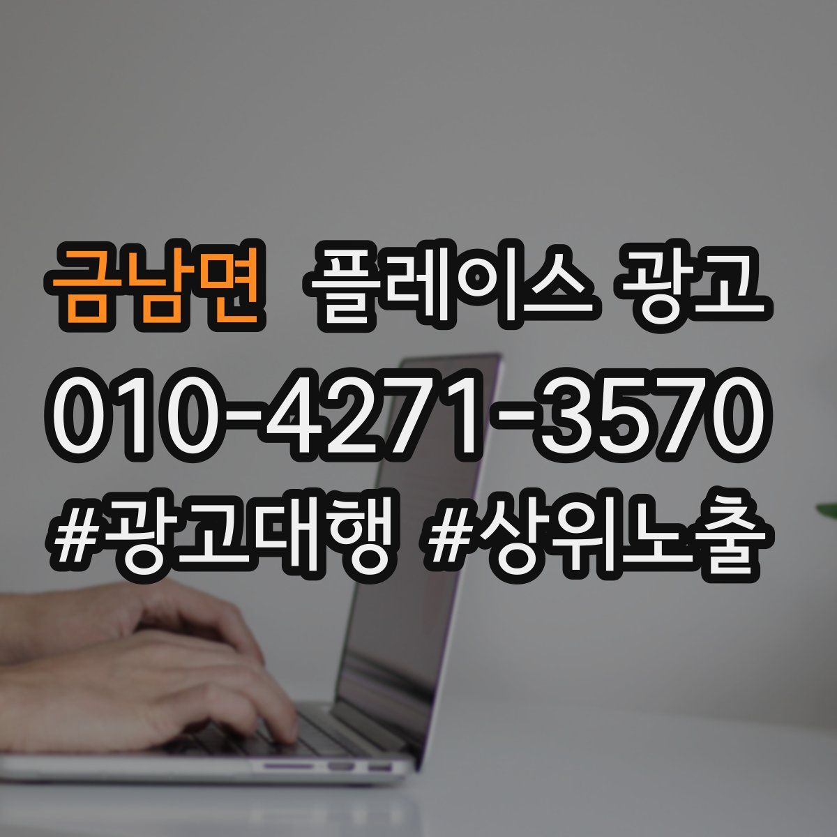 금남면 플레이스 광고