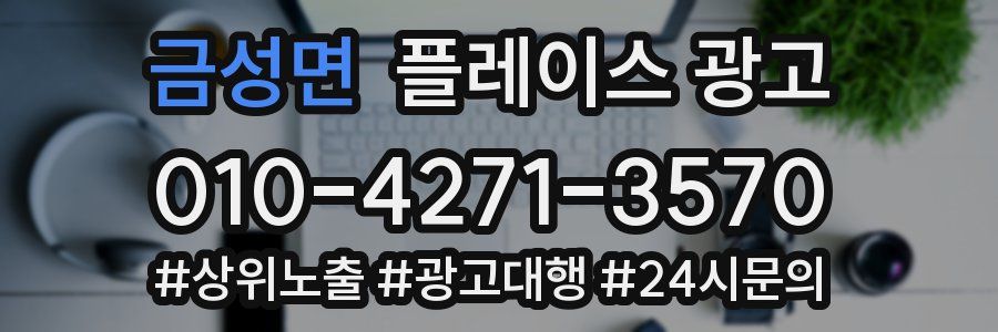 금성면 플레이스 광고
