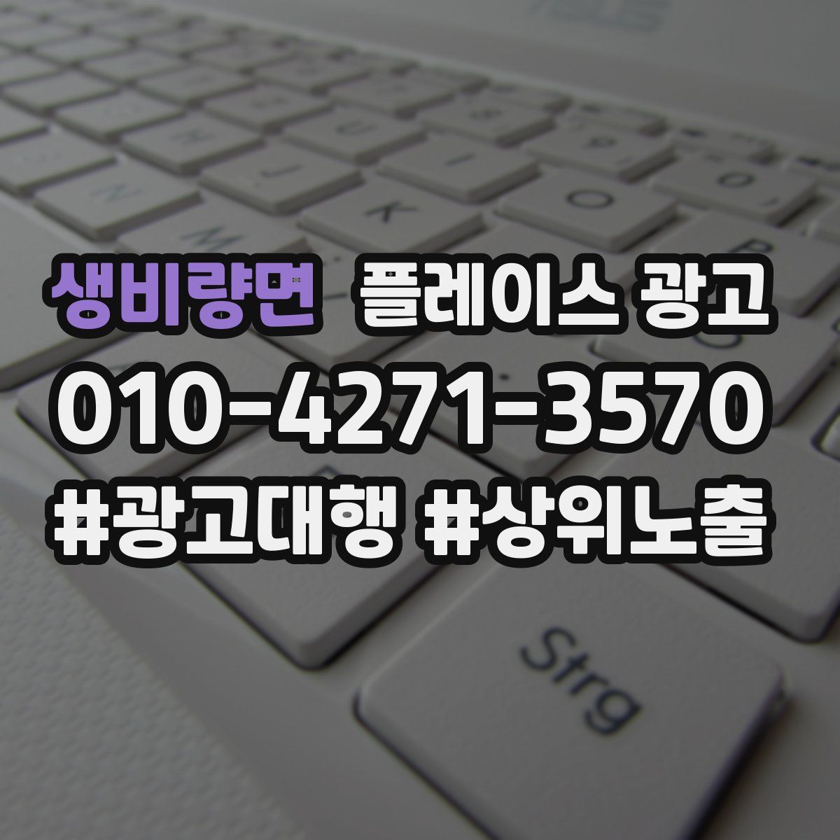 생비량면 플레이스 광고