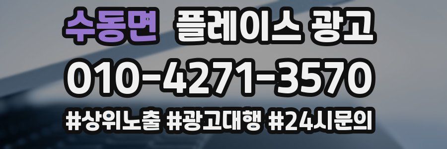 수동면 플레이스 광고