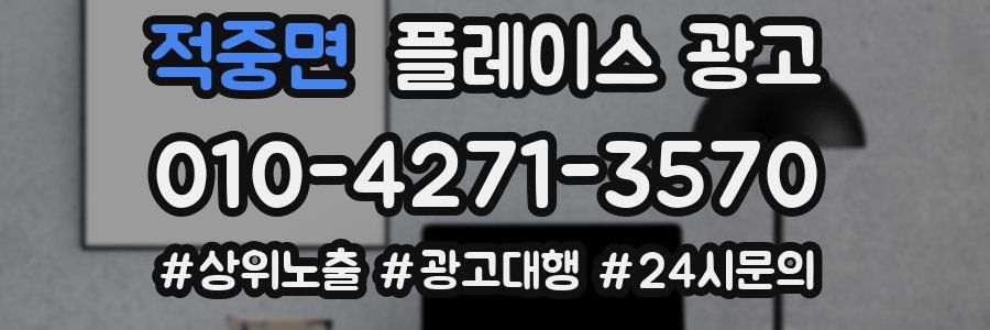 적중면 플레이스 광고
