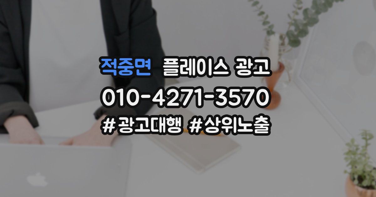 적중면 플레이스 광고