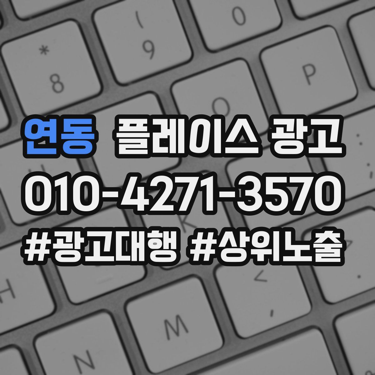 연동 플레이스 광고