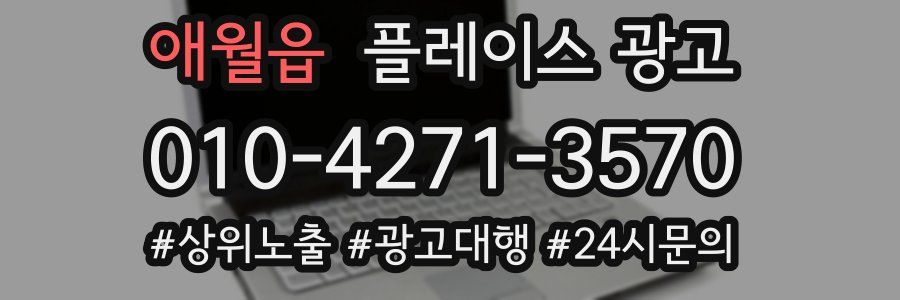 애월읍 플레이스 광고