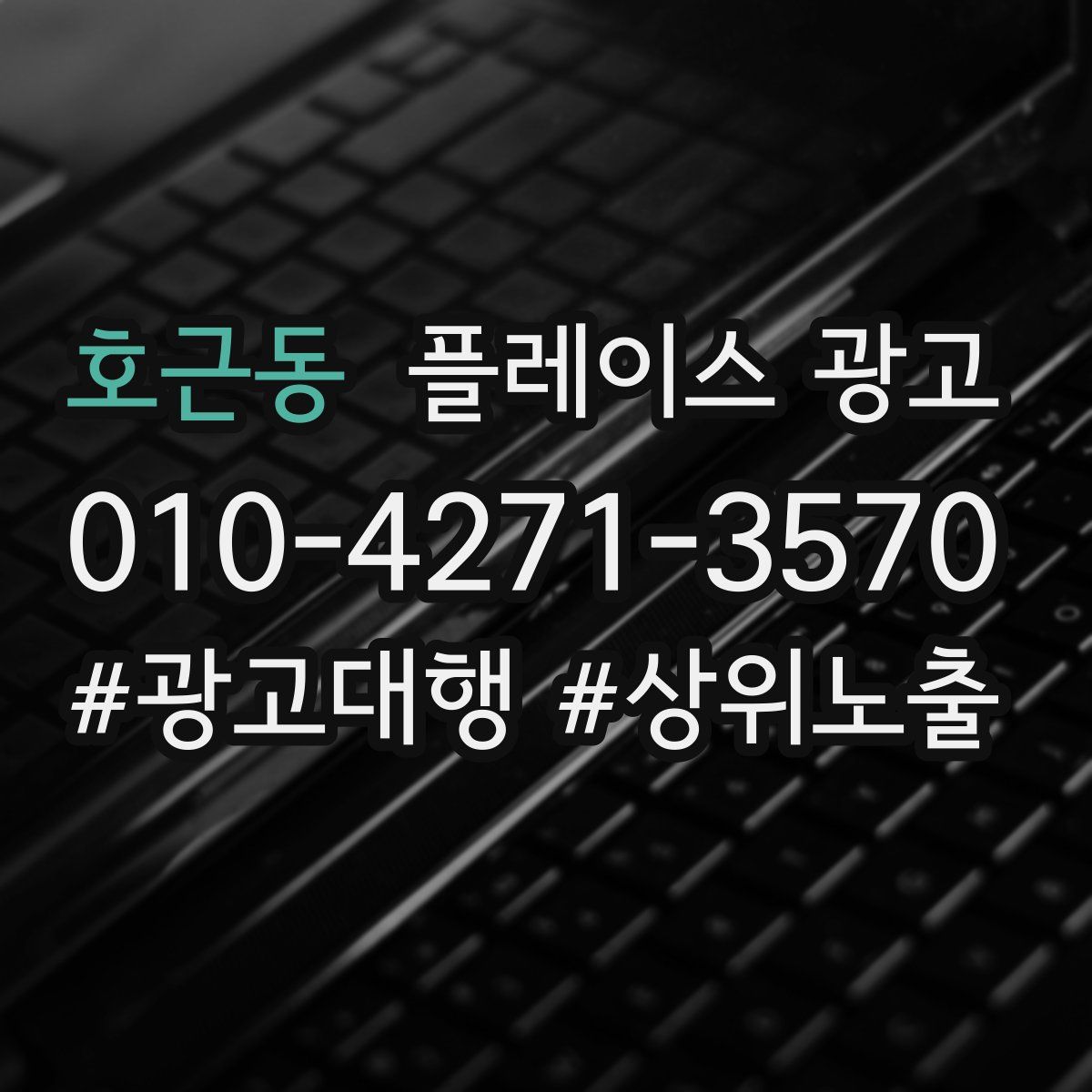 호근동 플레이스 광고