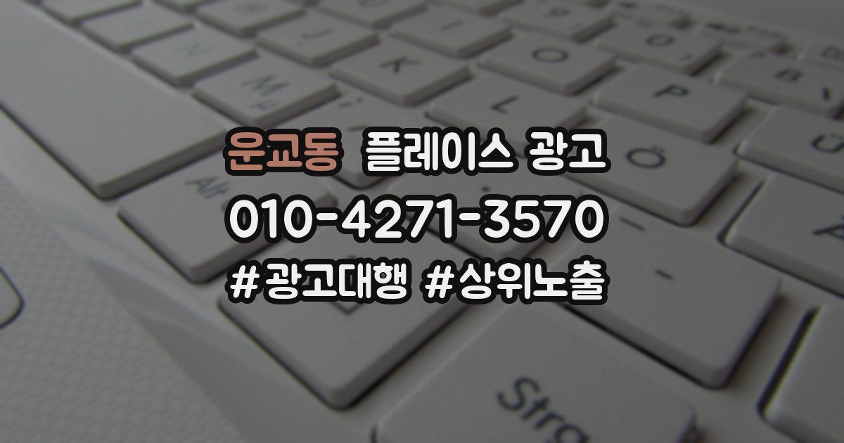 운교동 플레이스 광고
