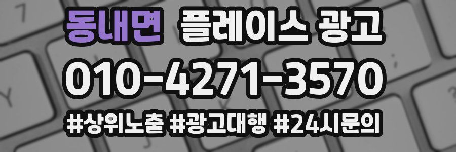 동내면 플레이스 광고