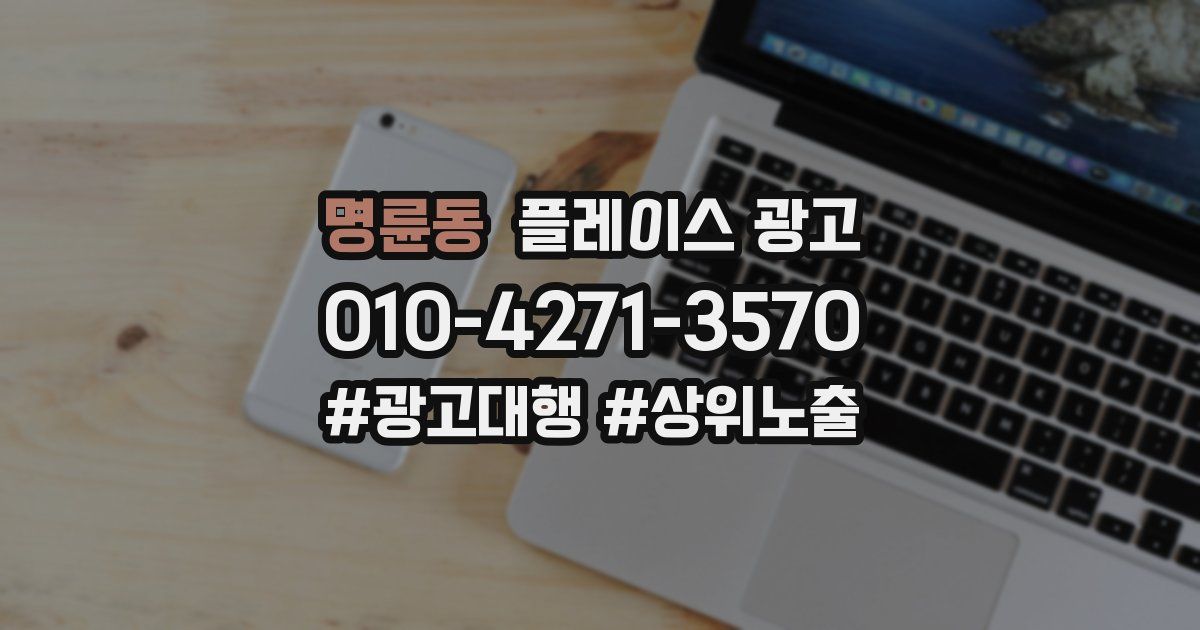 명륜동 플레이스 광고