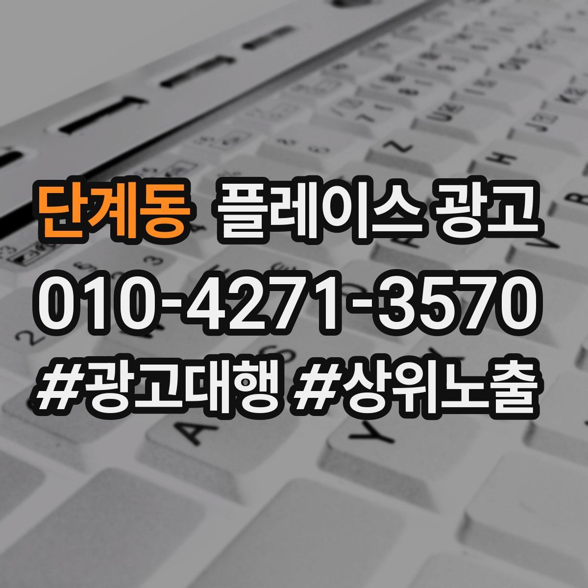 단계동 플레이스 광고