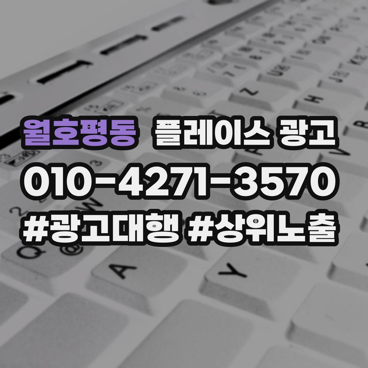 월호평동 플레이스 광고