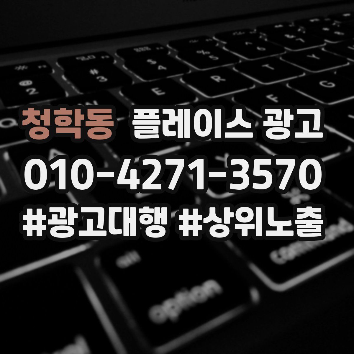 청학동 플레이스 광고