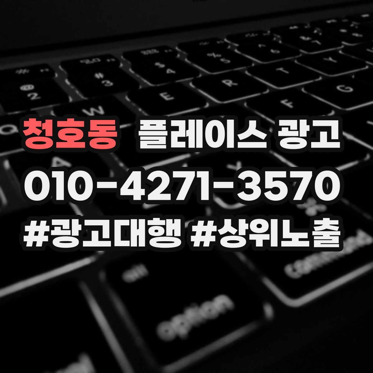 청호동 플레이스 광고