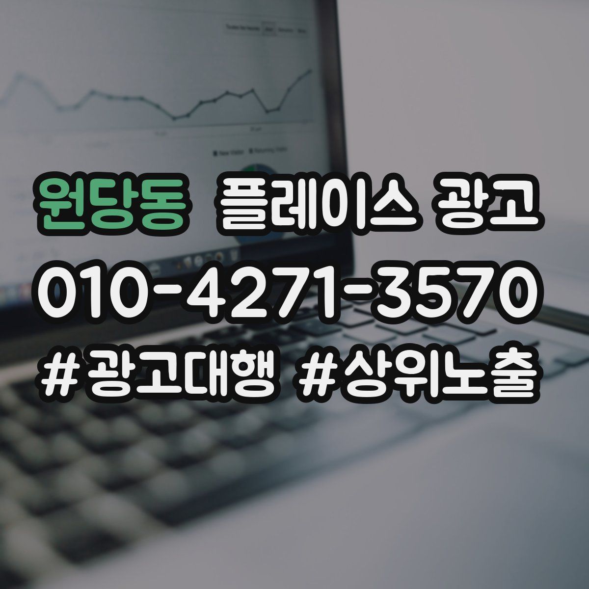 원당동 플레이스 광고