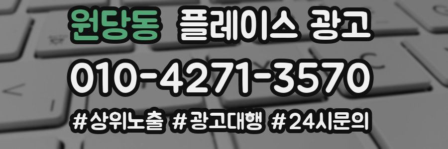원당동 플레이스 광고