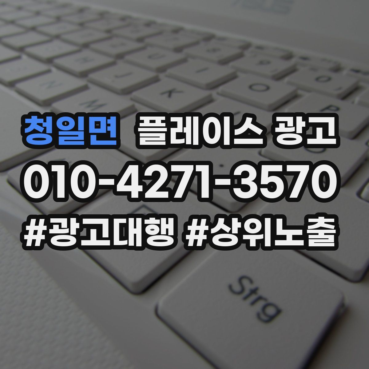 청일면 플레이스 광고
