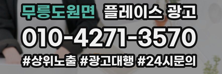 무릉도원면 플레이스 광고