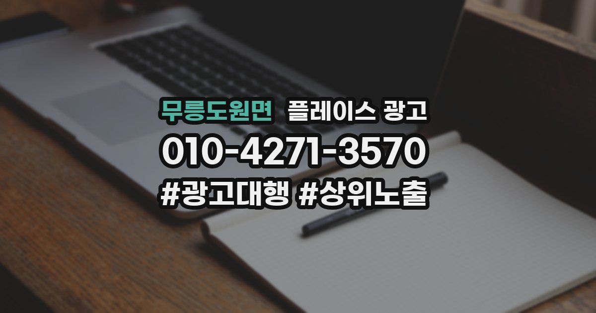 무릉도원면 플레이스 광고