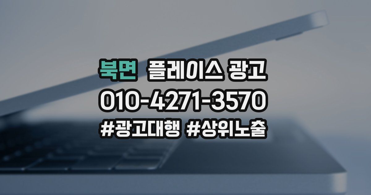 북면 플레이스 광고