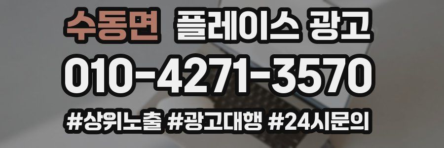 수동면 플레이스 광고