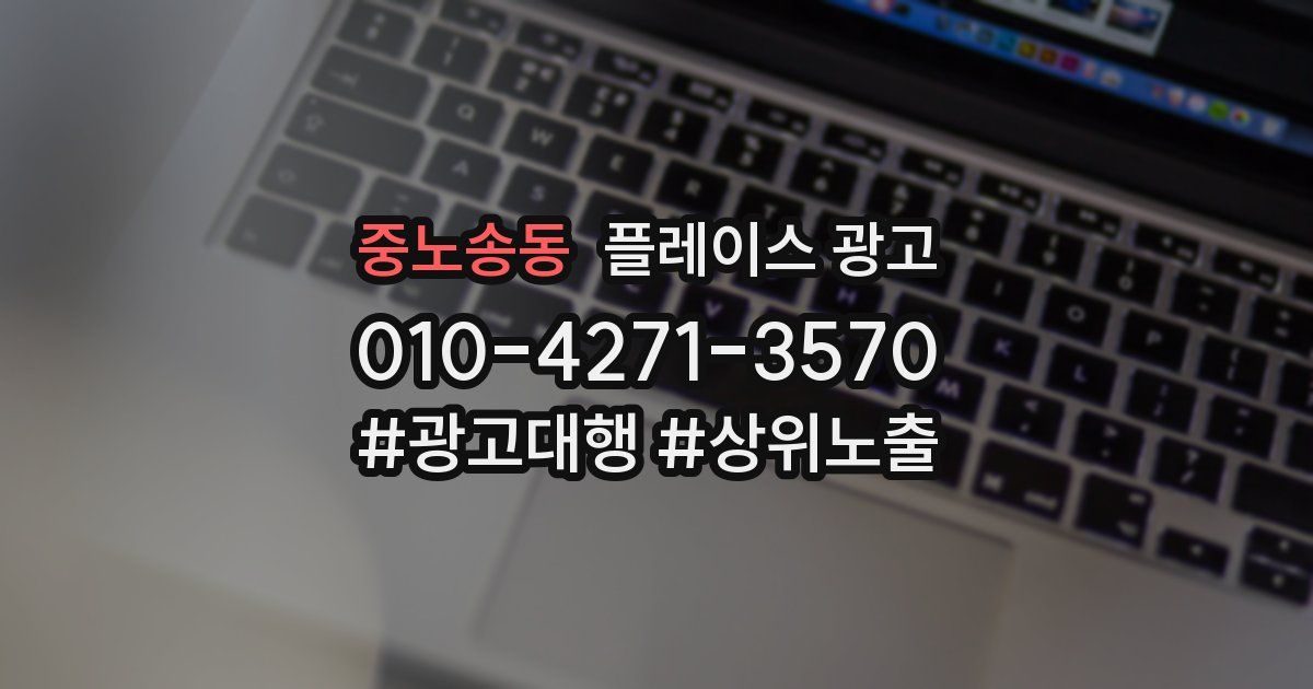 중노송동 플레이스 광고