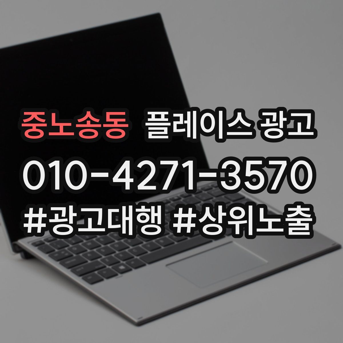 중노송동 플레이스 광고