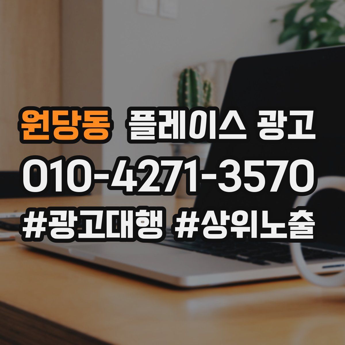 원당동 플레이스 광고
