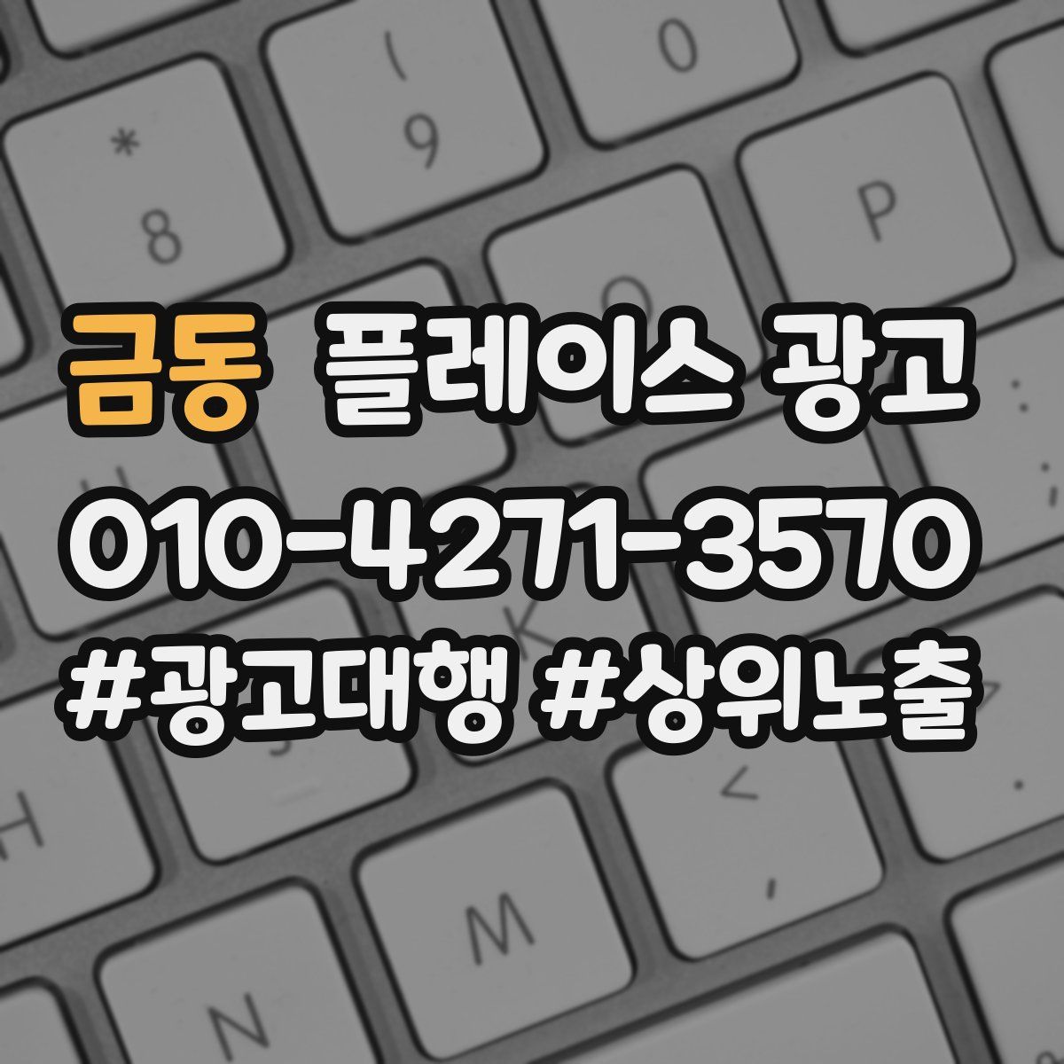 금동 플레이스 광고