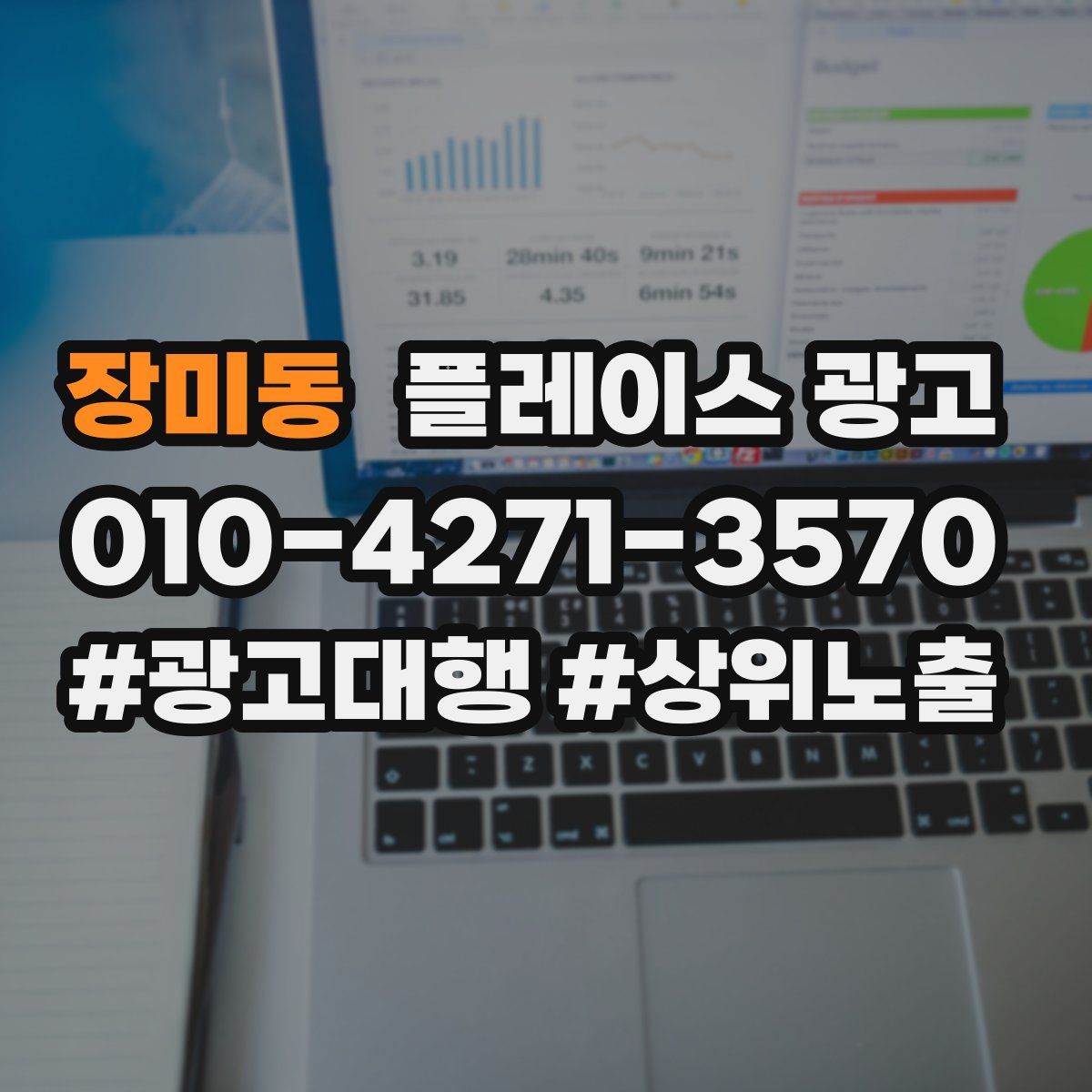 장미동 플레이스 광고