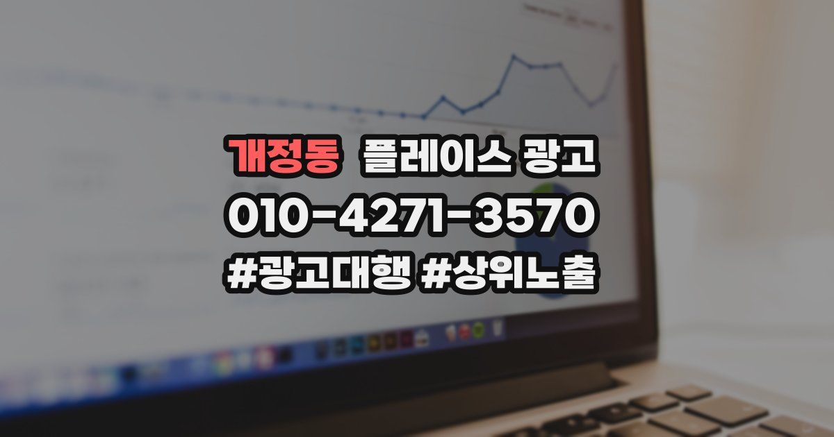 개정동 플레이스 광고