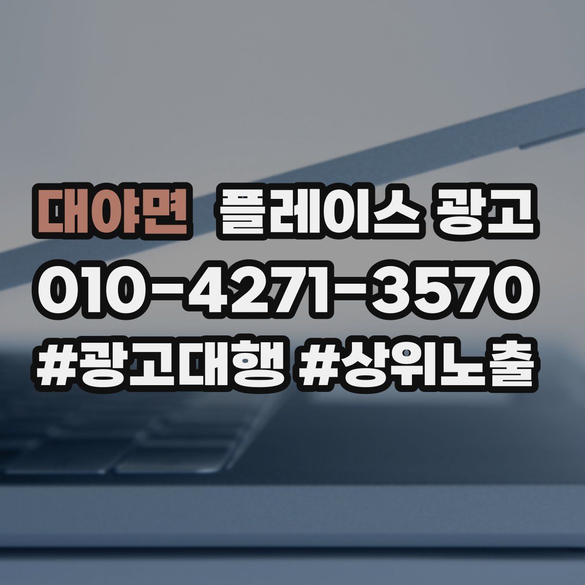 대야면 플레이스 광고