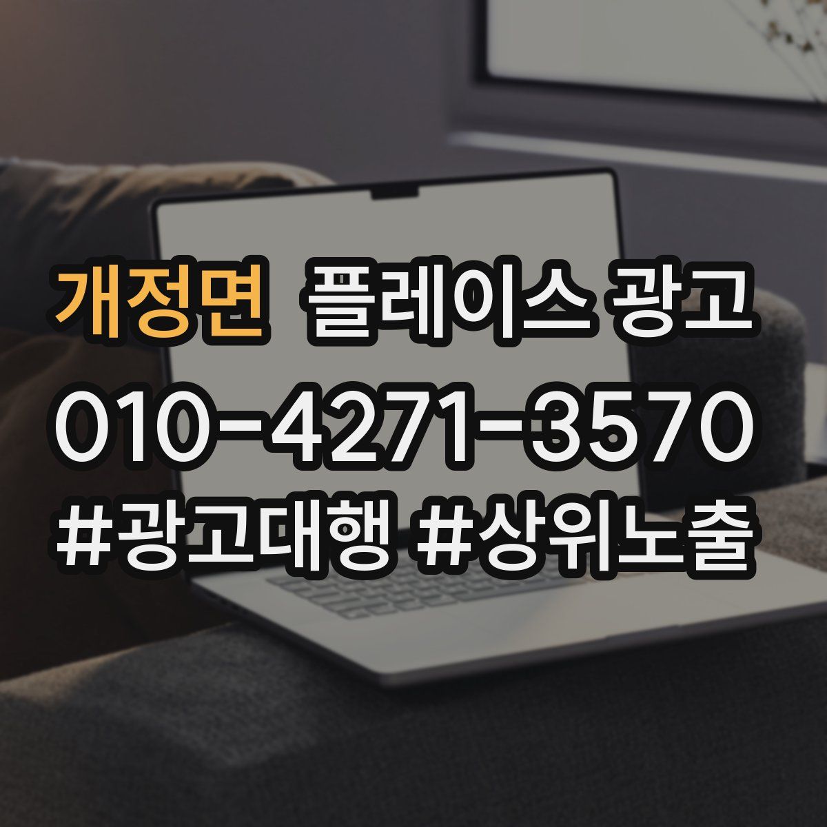 개정면 플레이스 광고