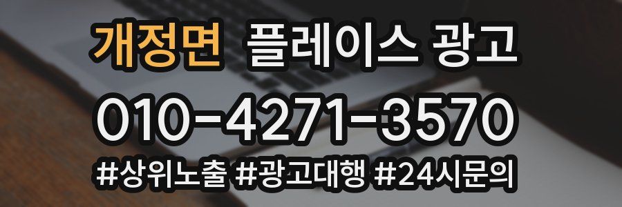 개정면 플레이스 광고
