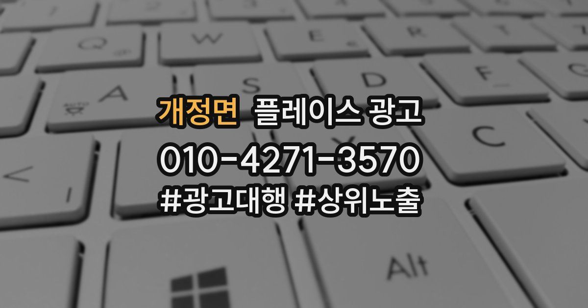 개정면 플레이스 광고