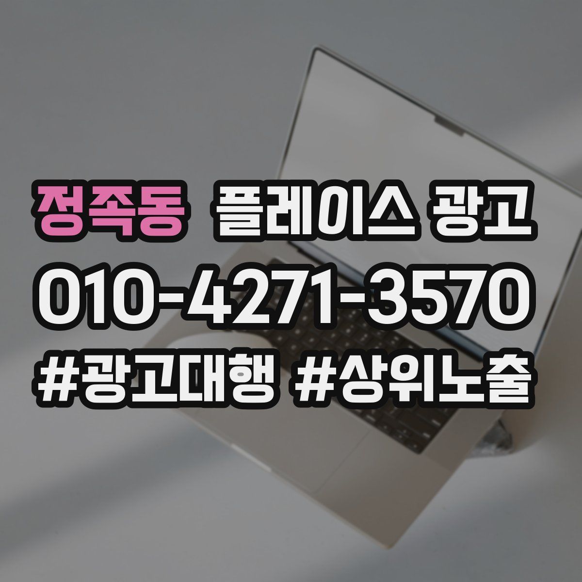 정족동 플레이스 광고