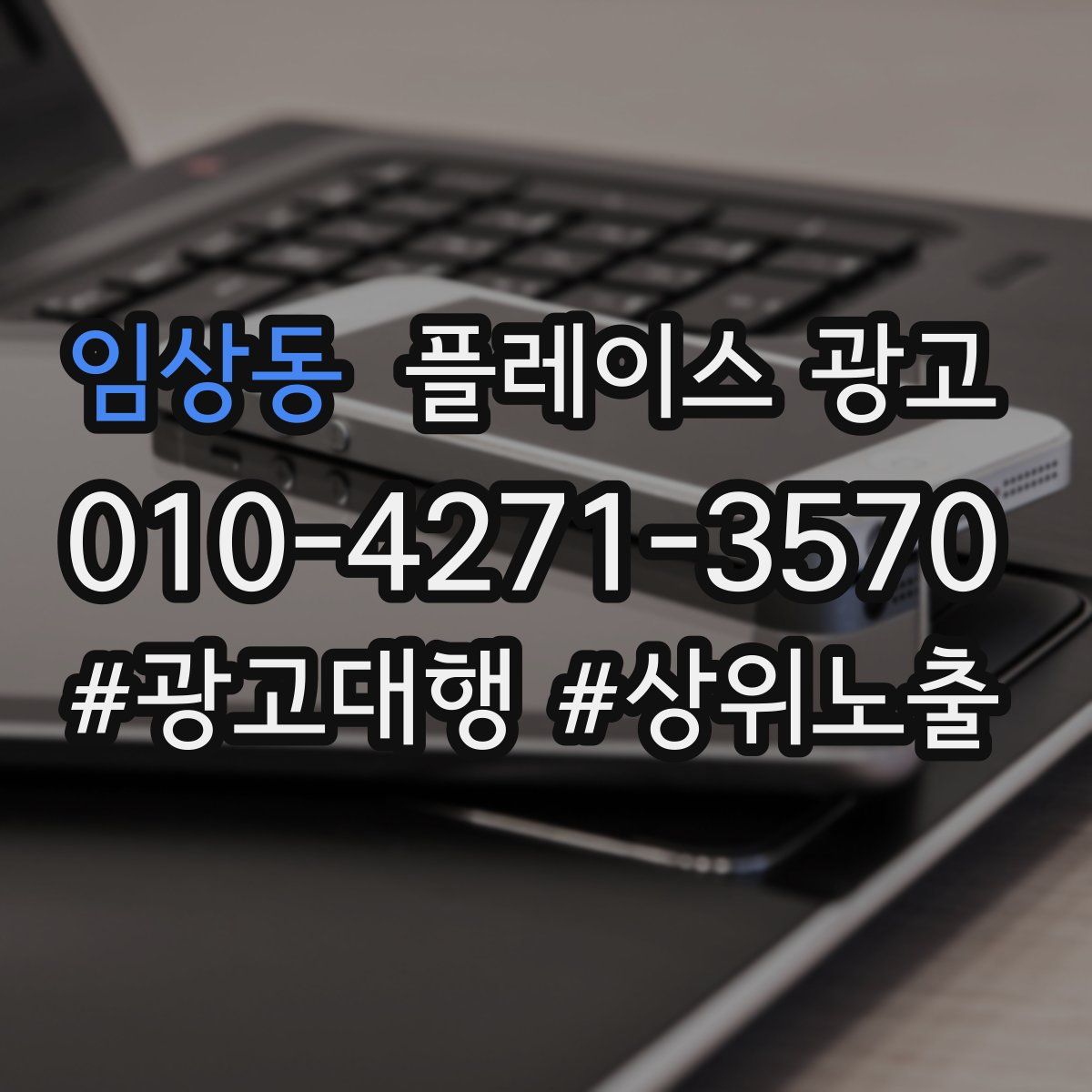 임상동 플레이스 광고