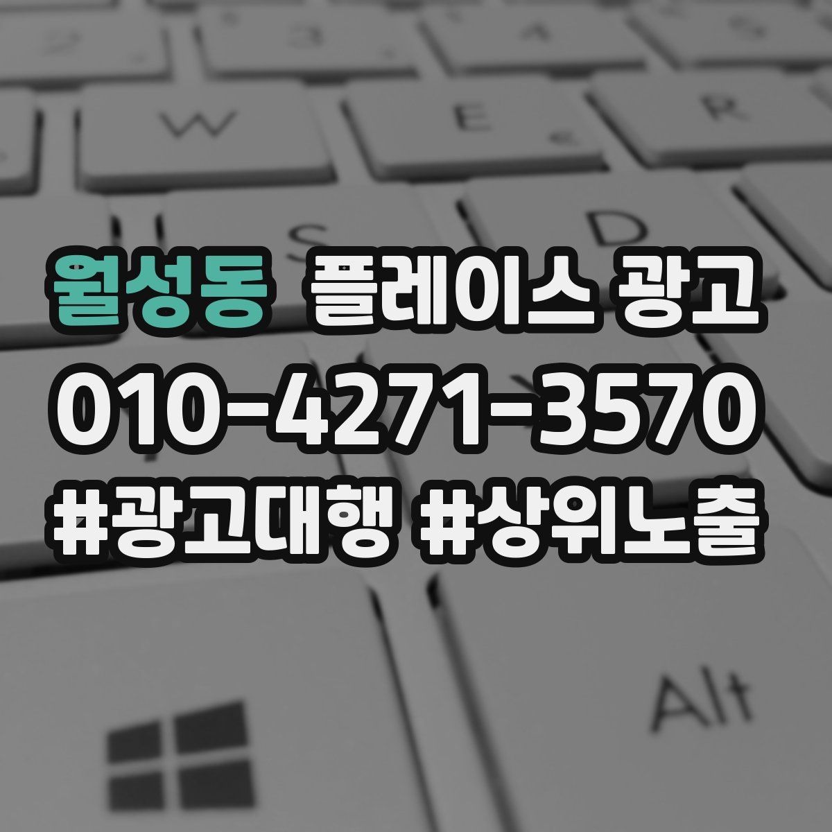 월성동 플레이스 광고
