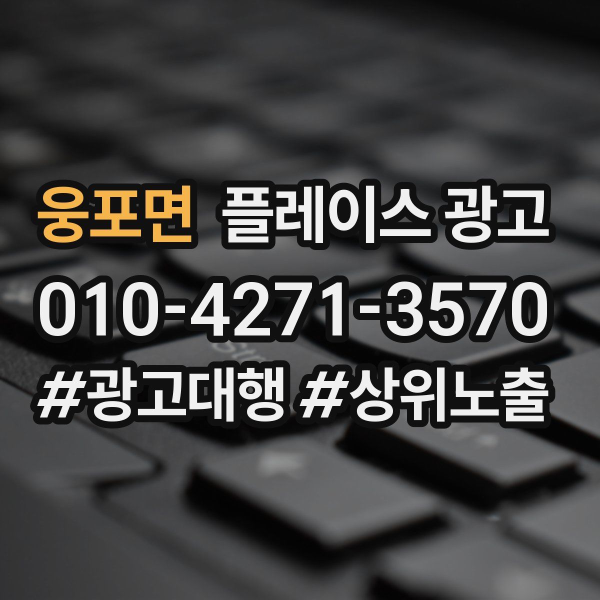 웅포면 플레이스 광고