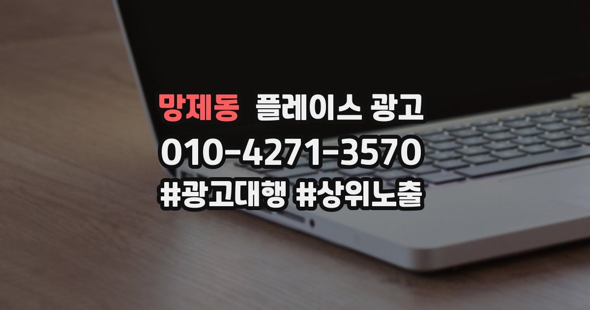 망제동 플레이스 광고