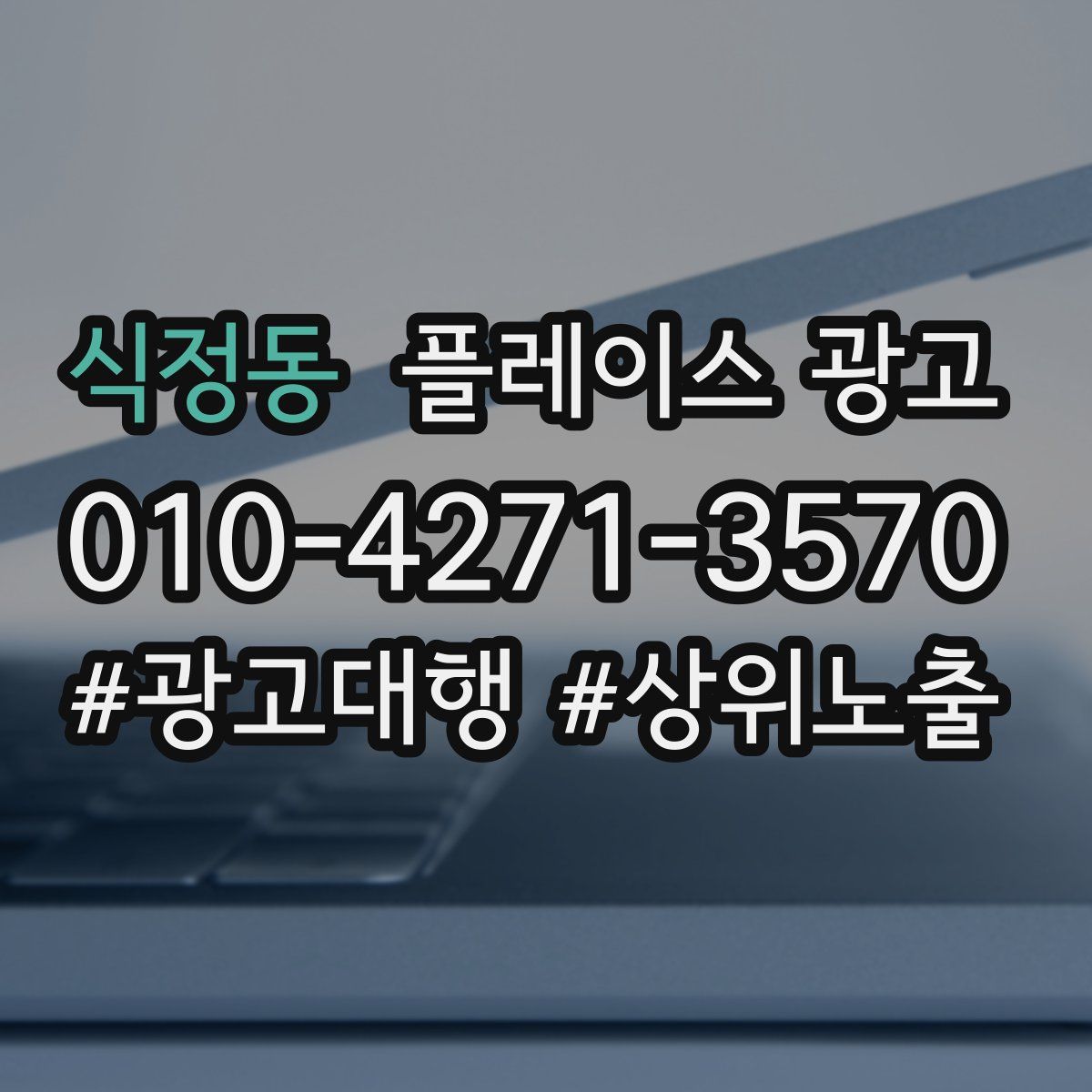식정동 플레이스 광고