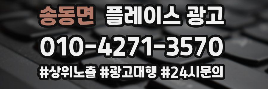 송동면 플레이스 광고