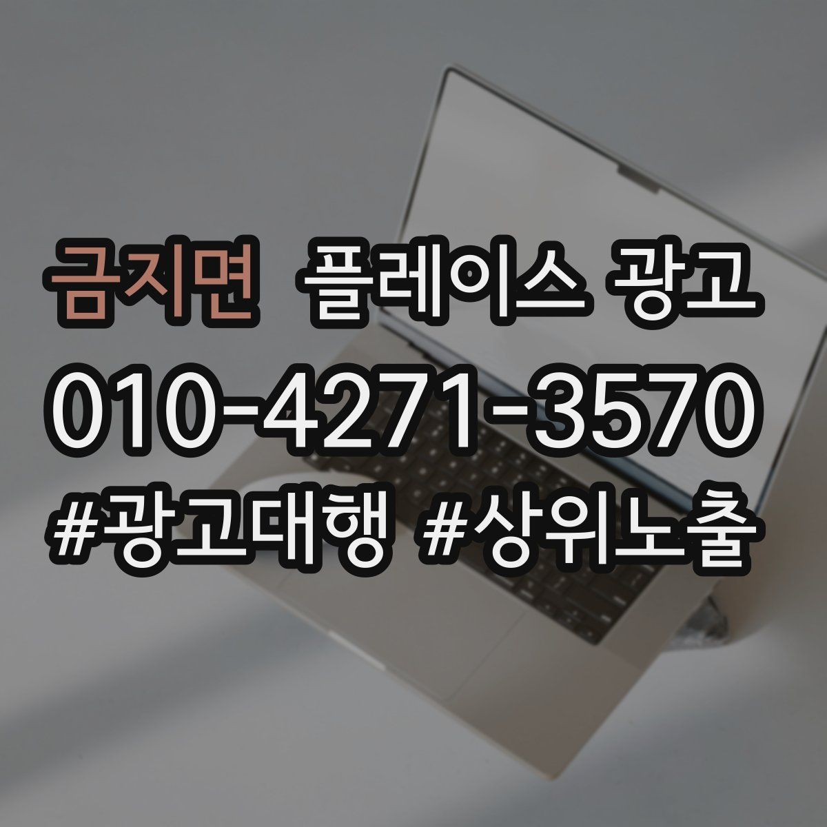 금지면 플레이스 광고