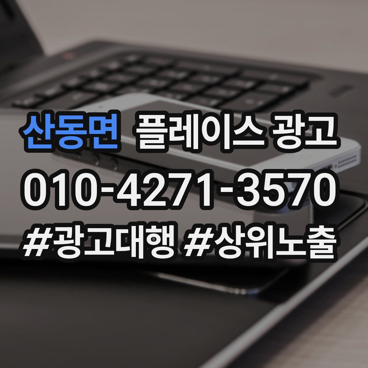 산동면 플레이스 광고