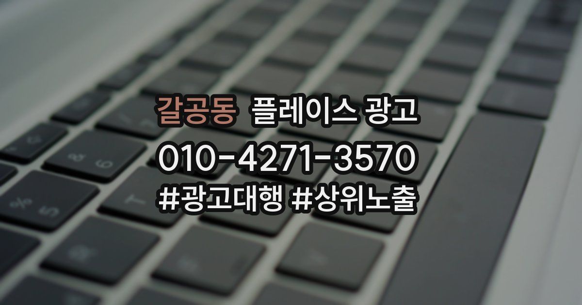갈공동 플레이스 광고