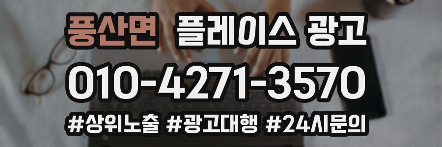 풍산면 플레이스 광고